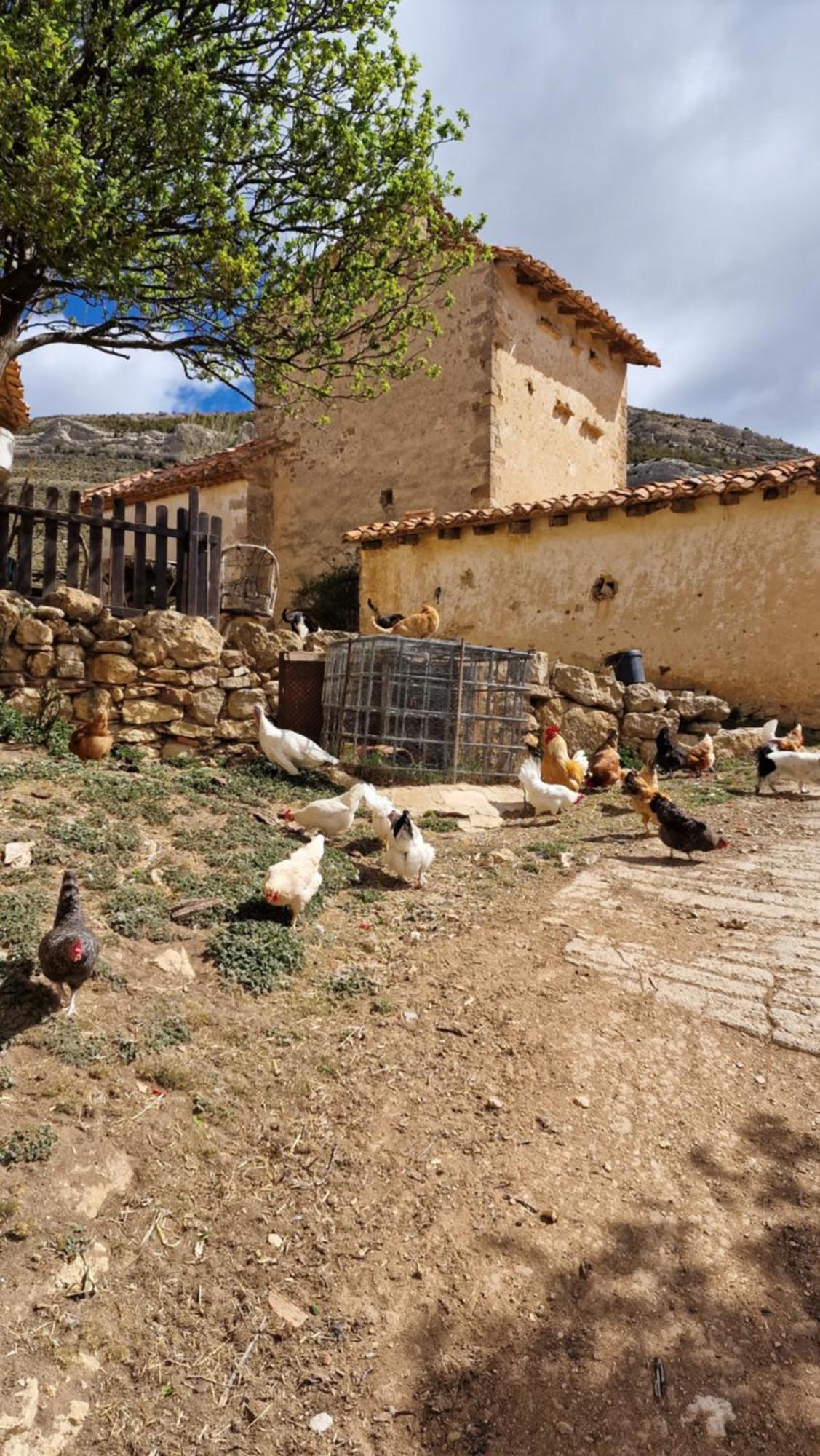 La Casa Del Bosque Villa Alcalá de la Selva Exteriör bild
